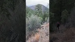 Rough Country ⛰️⚒️#Treasure Hunting