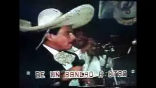 Los Sharks Recordando El Show de Mariachi