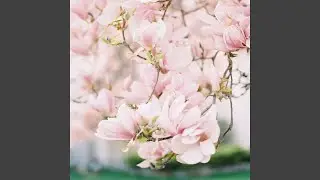 Late In Your Car