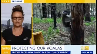 OWAD Environment Channel 9 interview Olivia Woosnam re Koala - 20 Feb 2021