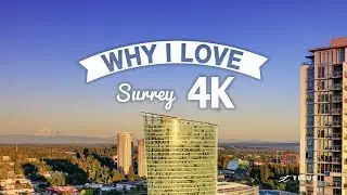 Why I Love Surrey