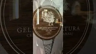 Quick History of Gelato: Artisanal Ice Cream in Venice Italy