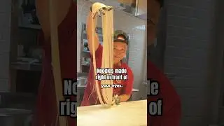 Лучшая новая лапша ручной работы в Денвере? 🍜