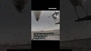 Bird Landed on a Ukrainian FPV Drone Lying in Ambush #warinukraine #drone