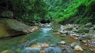 4K-HDR | Flowing River Sounds for Relaxation & Sleep | Natural Ambience for Stress Relief & Peace