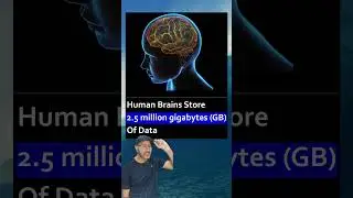 Human Brain Data Storage Capacity #shorts
