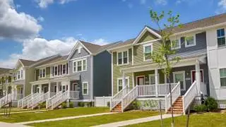 Conifer New Jersey