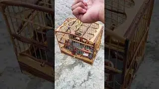 sibite batendo fogo 🔥 na m&atilde;o