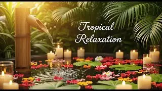 Calming Zen Dawn Ambience Bamboo Fountain and Candle Glow for Healing Meditation Sleep Tranquil