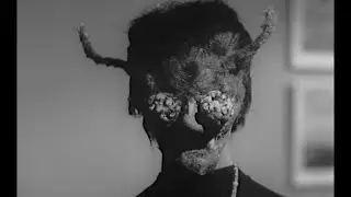Wasp Woman Film Dub