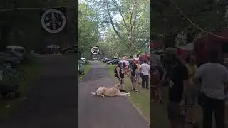 Libertarian Revolution goes to Porcfest 2025