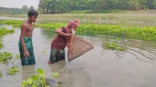 Amazing Polo Fishing | Traditional Fishing Method of Bangladesh | Primitive Fishing Technique
