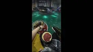 Challenge to catch 500 fish before ending the broadcast