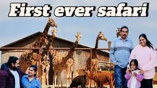 A day at Lazy 5 ranch🦙