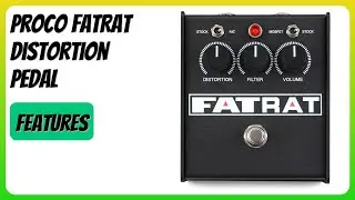 REVIEW (2026): Proco FATRAT Distortion Pedal. Features