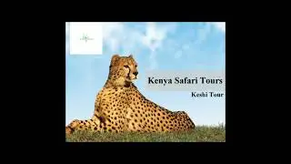 Kenya Safari Packages | Keshi Tour
