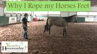 Why I Rope my Horses Feet // Versatile Horsemanship