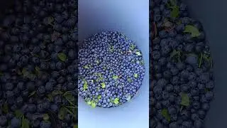 Компот из Малины с черникой