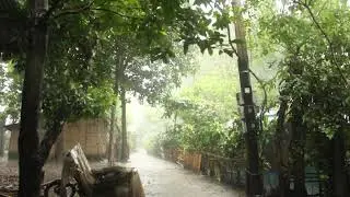 RAIN || HEAVY RAINFALL VIDEO || RAIN STATUS VIDEO|| NATUREHAB