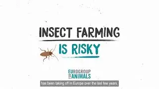 About insect farming: #2  Why insect farming is risky