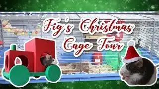 🎅🏻🐁 MOUSE CHRISTMAS CAGE TOUR 🐁🎅🏻