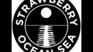 Strawberry Ocean Sea - Down By The River (Home Demo)