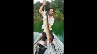 Monster Pike! 123cm Greatest Pike 2018,  Monster, Riesen Hecht,  Dev Turna Balığı T&uuml;rk Spin Rekor