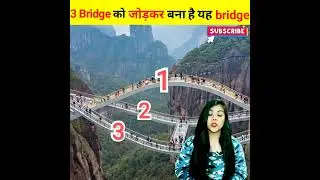 3 Bridge को जोड़कर बना है ये Bridge /Ruyi glass Bridge / Ruyi Bridge /Amazing Facts / #shorts