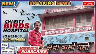 Birds Hospital | सागर धर्मार्थ वर्ल्ड केयर ट्रस्ट निशुल्क एंबुलेंस सेवा मो. 9891623062 | Gandhi nagr