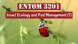 Mechanical control , Mode of Action of Pyrethrins and Pyrethroids , Mode of Action of Insecticides