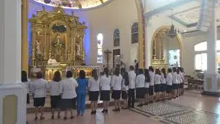 Commissioning of Lectors 2019