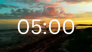 5 Minutes Timer With Relaxing Music