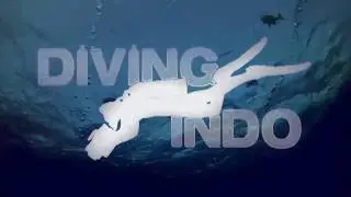 Diving Indo - Bali through our eyes.
