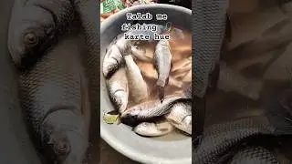fishing #fishing #trending #trendingshorts #songs #shorts #fish #popular #explore #music