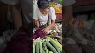 Grandma and Her Kitten's Morning Routine at the Market