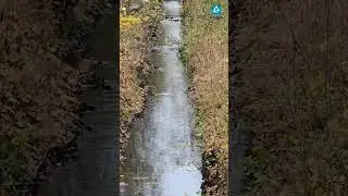 Autumn Creek Path 🍂💧 | Calm Narrow Stream & Soft Water Flow | Aqurya Shorts