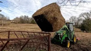 Начало 2026 года с появлением новых детенышей на ферме.