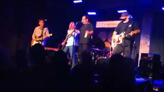 The Baseball Project - Please Don't Call Them Twinkies