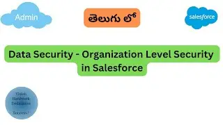Data Security - Organization Level in Salesforce  ||  Salesforce In Telugu