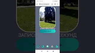 Запись видео потока в приложении lesa.one #shorts
