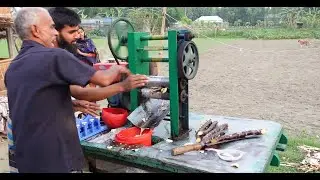 ঘরে তৈরী কেমিক্যাল মুক্ত শতভাগ বিশুদ্ধ আখের গুড় | Doyel Agro