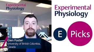 EPicks: Sex differences in coronary vascular responses to metaboreflex stimulation in healthy humans