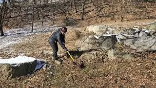 영웅동산 가꾸기(1)