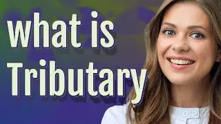 Tributary | meaning of Tributary