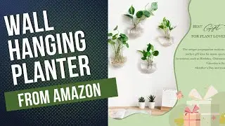 Wall Hanging Glasses | You Can Get From Amazon | Links to items in Description #tiktokmademebuyit