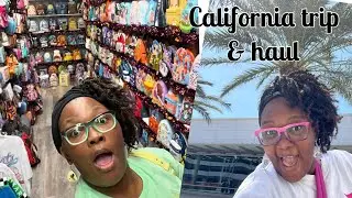 Disneyland & Universal California trip and haul