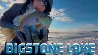 GIANT Sunfish and Crappie Slam Through The Ice!! (BIGSTONE SD)