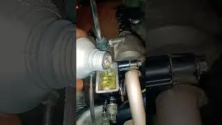 brake oil changing #shorts #brakeoilchanging
