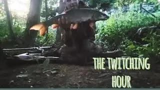 The Twitching Hour