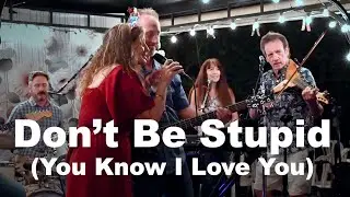 Don't Be Stupid (You Know I Love You)